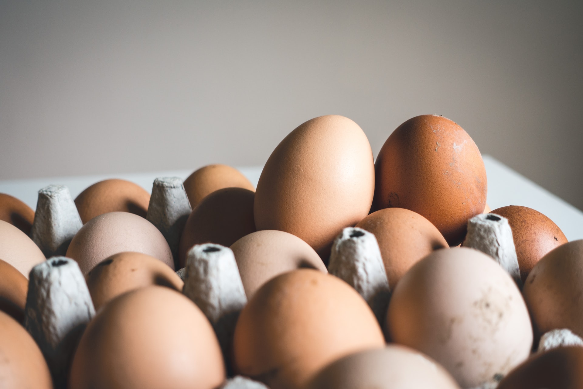 eggs in carton representing expensive grocery items